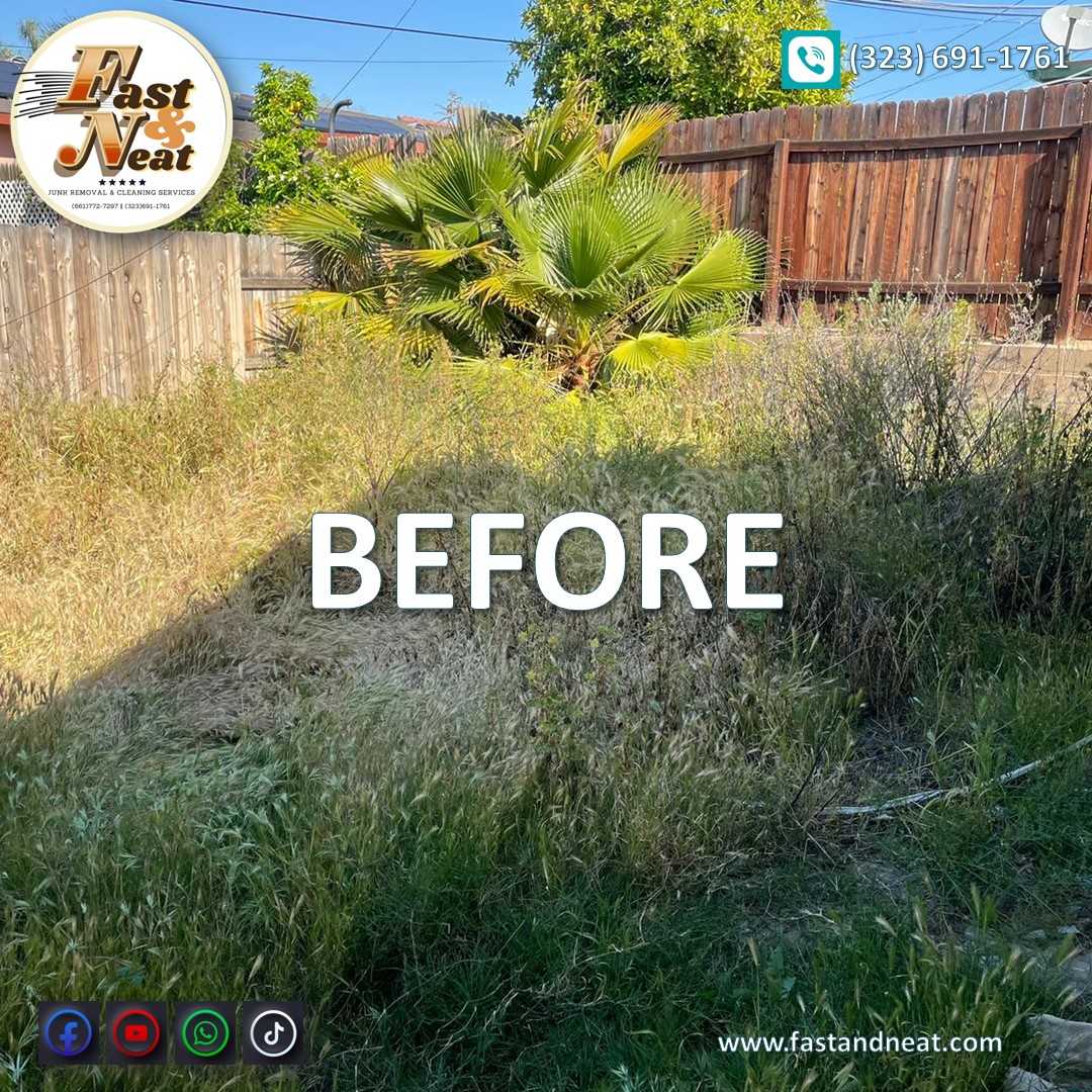 Backyard cleaning and Tree Trimmin Before Fast and Neat Cleaning Services Bakersfield California